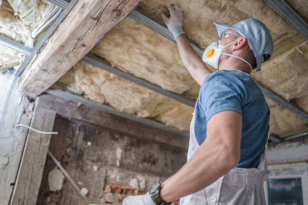 Best Insulation Contractor Near Me  in Fletcher, NC