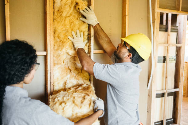 Best Soundproof Insulation Installation  in Fletcher, NC