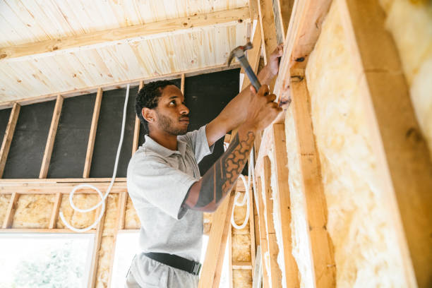 Best Insulation Removal  in Fletcher, NC