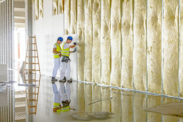Best Professional Insulation Contractor  in Fletcher, NC